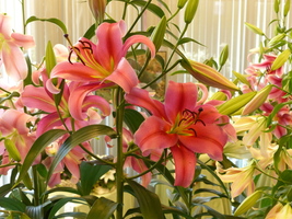 Foto: Dr. Peter Müller